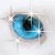 :iconbrambleberry: