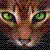 :iconbrambleclawplz: