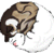 :iconbramblehawk: