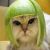 :iconbramblestripe: