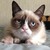 :iconbrandipandii: