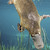 :iconbrandnewanimal: