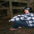 :iconbrandonbinderphoto: