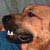 :iconbrandonjvance: