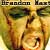 :iconbrandonmast: