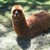 :iconbrandoonie: