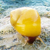 :iconbrandywine: