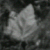 :iconbranewashd: