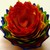 :iconbranfordpics: