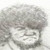 :iconbranimator:
