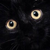 :iconbranvven: