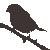 :iconbrass-bird: