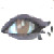 :iconbratness15: