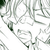 :iconbrave-little-wolf: