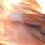:iconbrave-wolverine: