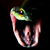 :iconbravo002: