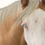 :iconbrayleestock2001: