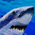 :iconbrazendesign: