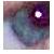 :iconbrazil13: