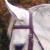 :iconbreakinangel: