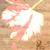 :iconbreaking-bella: