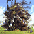 :iconbreaking-winter: