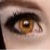 :iconbreakingdawngirl: