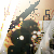 :iconbreaky: