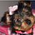 :iconbreanna-banana123: