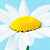 :iconbreathe-in-life: