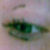 :iconbreathetostay:
