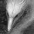 :iconbreathing-north: