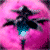 :iconbreathless00: