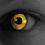 :iconbreecullen: