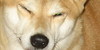 group avatar