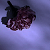 :iconbreemote: