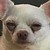 :iconbreereaper: