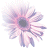 :iconbreezeyseaz: