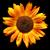 :iconbreezy-blues: