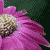 :iconbreezy262: