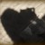 :iconbreezypixy: