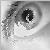 :iconbrendah: