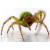 :iconbrendangillatt: