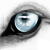 :iconbrendanwolfe: