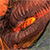 Brendavid :iconbrendavid: