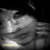 :iconbrenshieeross: