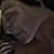 :iconbrett1: