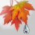 :iconbrettslens: