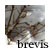 :iconbrevis: