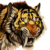 :iconbrevis87: